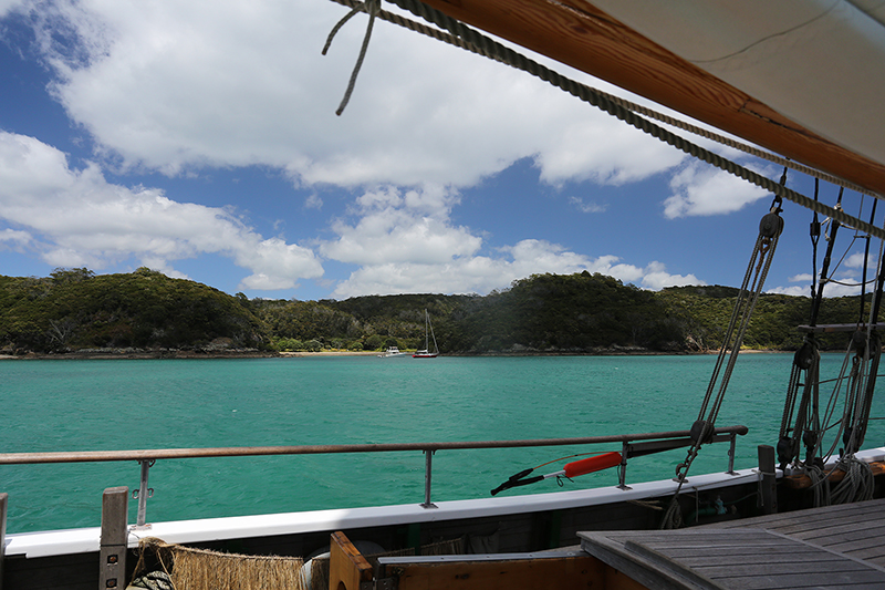 Sail on the R Tucker Thompson, Bay of Islands, NZ